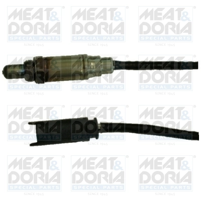 Oxygen Sensor